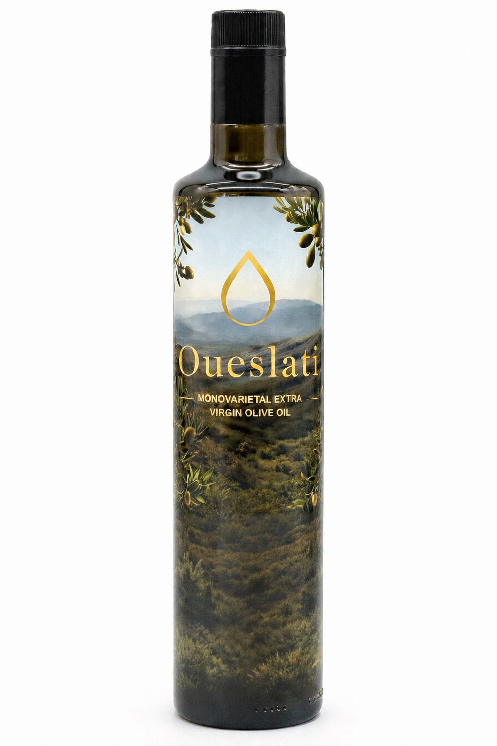 DOMAINE OUESLAT
